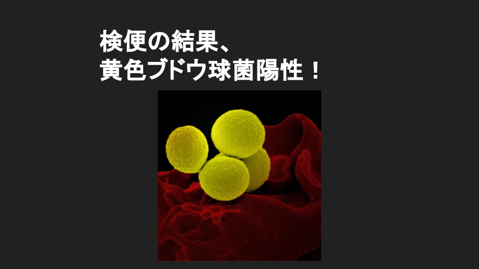 黄色 ブドウ 球菌